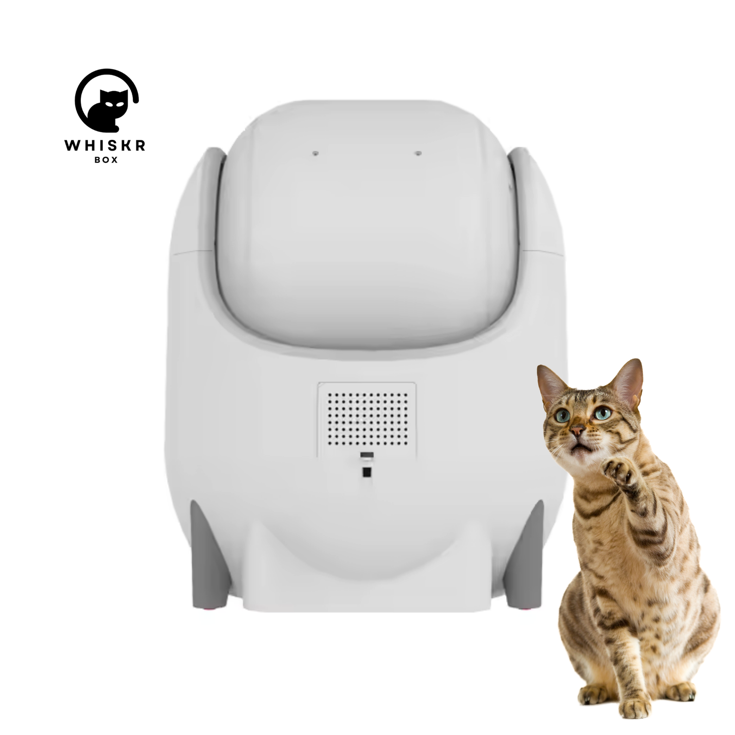 WhiskrBox® AutoClean Litter System