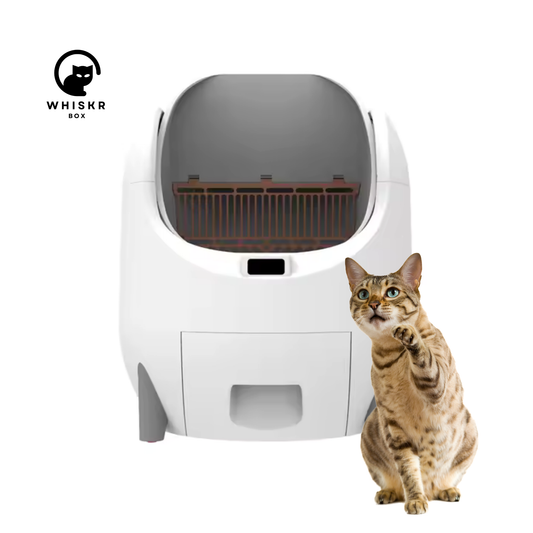 WhiskrBox® AutoClean Litter System
