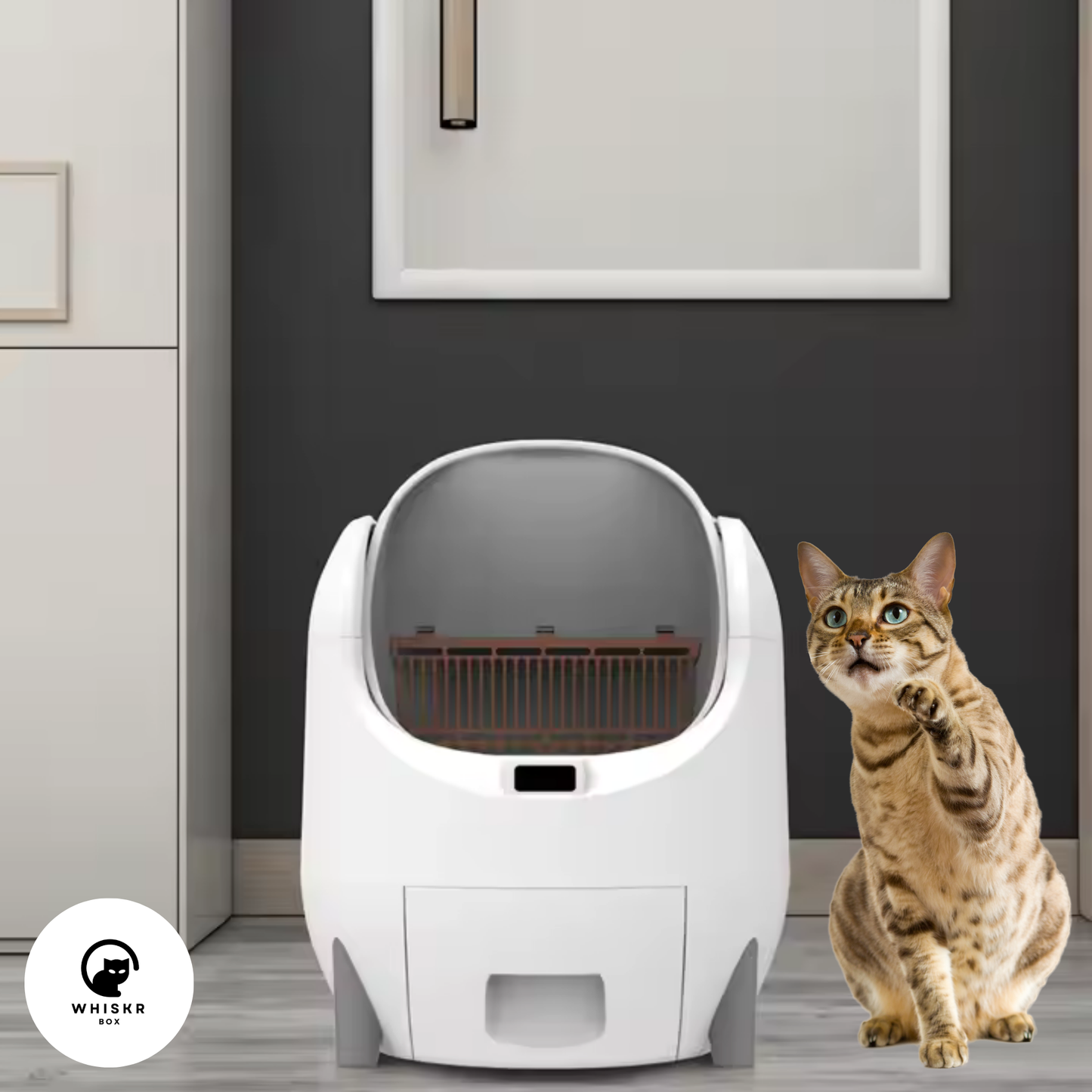 WhiskrBox® AutoClean Litter System